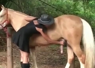 Horse's hot cock sucked by a hat-wearing slut