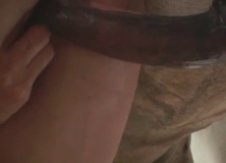 Incredibly hot sex with a horse