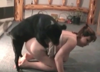 Hot asshole licked by a horny doggo