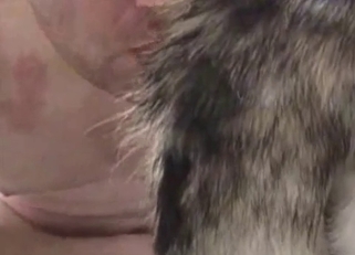 Dude jerks off while sucking a dog cock