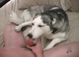 Dude violently fucking a hot dog