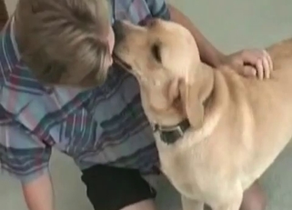 Romantic foreplay with a doggo