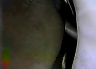 Pasty dude fucks a horse like crazy